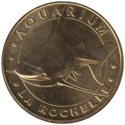 17-0052 - Aquarium de La Rochelle - Le requin gris - 2009