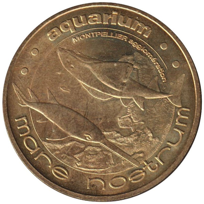 34-0885 - Le poisson-scie et la raie-guitare - 2009