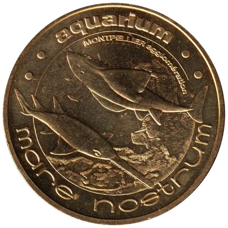 34-0885 - Le poisson-scie et la raie-guitare - 2009