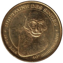 67-0899 - Montagne des Singes - 1969-2009 - 2009