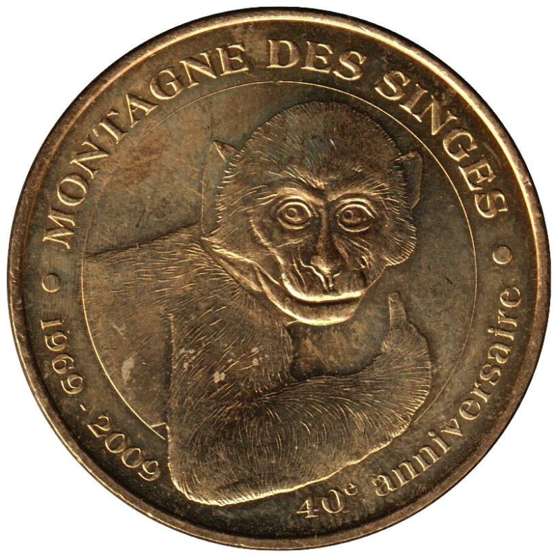 67-0899 - Montagne des Singes - 1969-2009 - 2009