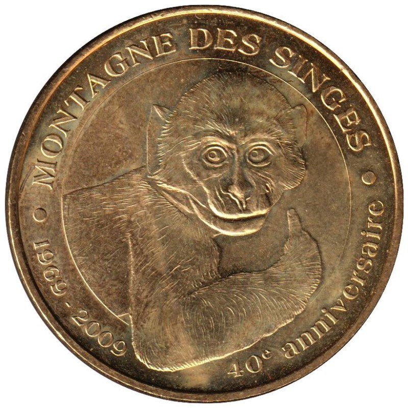 67-0899 - Montagne des Singes - 1969-2009 - 2009