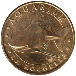 17-0052 - Aquarium de La Rochelle - Le requin gris - 2007