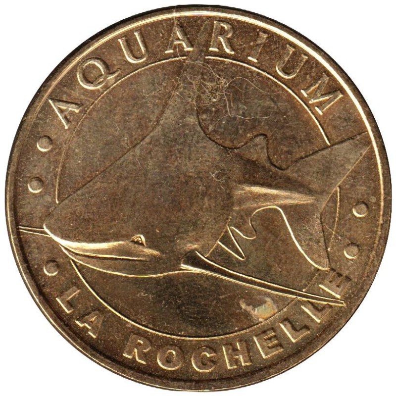 17-0052 - Aquarium de La Rochelle - Le requin gris - 2007