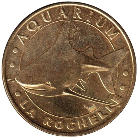 17-0052 - Aquarium de La Rochelle - Le requin gris - 2007