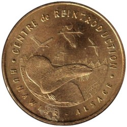 68-0591 - Hunawihr - Centre de réintroduction - La loutre - 2007