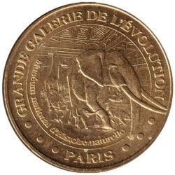 75-0641 - Grande galerie de l'évolution - Caravane africaine - 2007