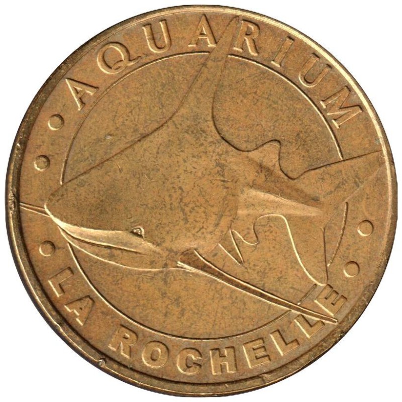 17-0052 - Aquarium de La Rochelle - Le requin gris - 2007