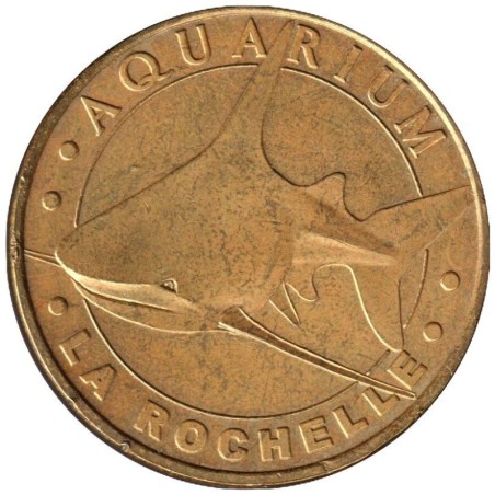 17-0052 - Aquarium de La Rochelle - Le requin gris - 2007