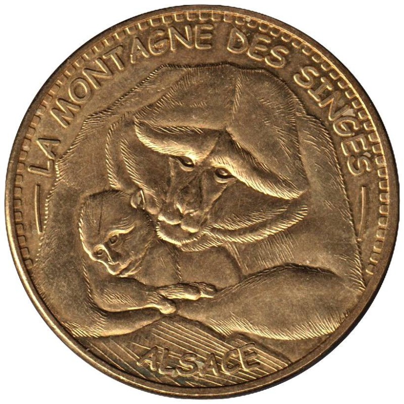 67-1580 - La Montagne des Singes - Bébé singe - 2013