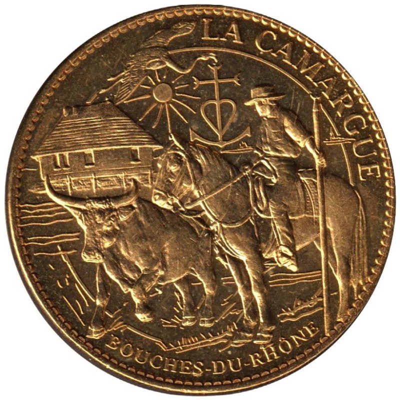 13- Marseille - Infopuce la référence - La Camargue - 2012