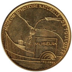 31- Toulouse - Muséum d'histoire naturelle - Squelette d'oiseau - 2008