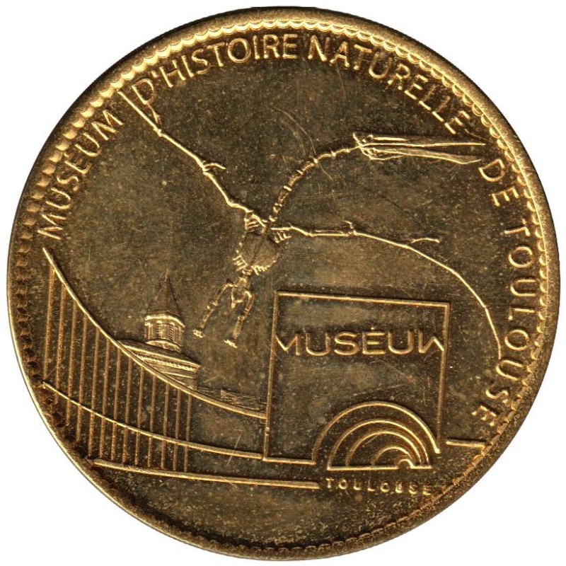 31- Toulouse - Muséum d'histoire naturelle - Squelette d'oiseau - 2008