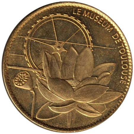 31- Toulouse - Muséum d'histoire naturelle - Fleurs - 2008