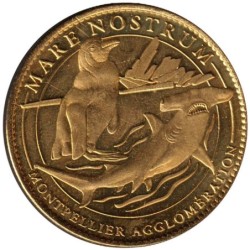 34- Montpellier - Aquarium mare nostrum - Requin marteau - 2008