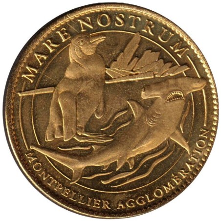 34- Montpellier - Aquarium mare nostrum - Requin marteau - 2008