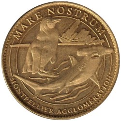 34- Montpellier - Aquarium mare nostrum - Requin marteau - 2008