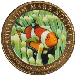 34- Montpellier - Aquarium mare nostrum - Poisson clown - colorisée - 2011