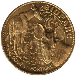 49- Doué-la-Fontaine - Zoo - Les okapis - 2014