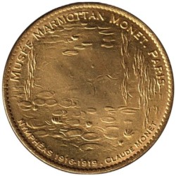 75- Paris - Musée Marmottan - Les Nymphéas - Claude Monet - 2013