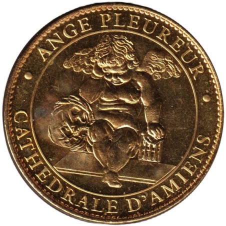 80- Amiens - Cathédrale - Ange pleureur - 2010