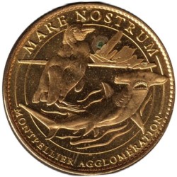 34- Montpellier - Aquarium mare nostrum - Requin marteau - 2010