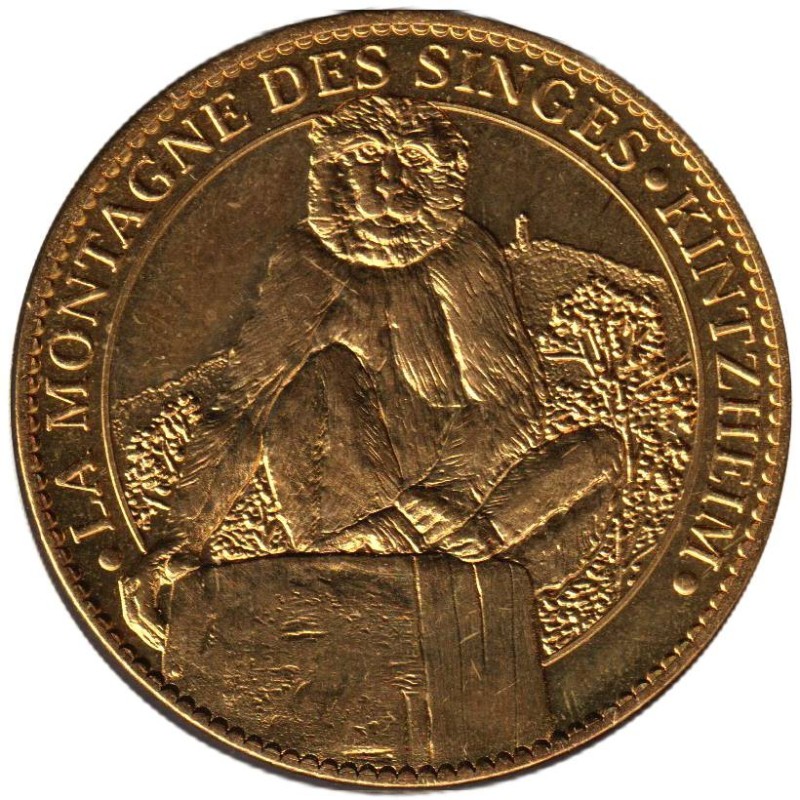 67- Strasbourg - Cathédrale Notre Dame de Strasbourg - 2006