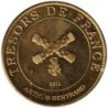 Jeton touristique - 13- Tarascon - La tarasque - Patrimoine de l'UNESCO - 2011