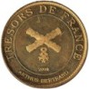 Jeton touristique - 31- Toulouse - Muséum d'histoire naturelle - Fleurs - 2008
