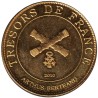 Jeton touristique - 77- Nesles - Le parc des félins - Le tigre - 2010