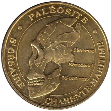 17-0432 - Paléosite St Césaire Crâne de Pierrette - 2016 17-0432 - Paléosite St Césaire Crâne de Pierrette - 2016