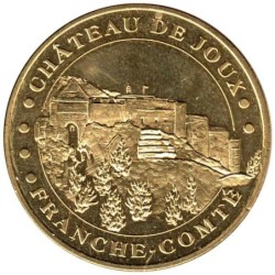 25-0420 - Château de Joux - Vue d'ensemble - 2014