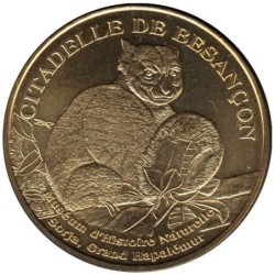25-1192 - Muséum - Sorja Grand Hapalémur - 2011