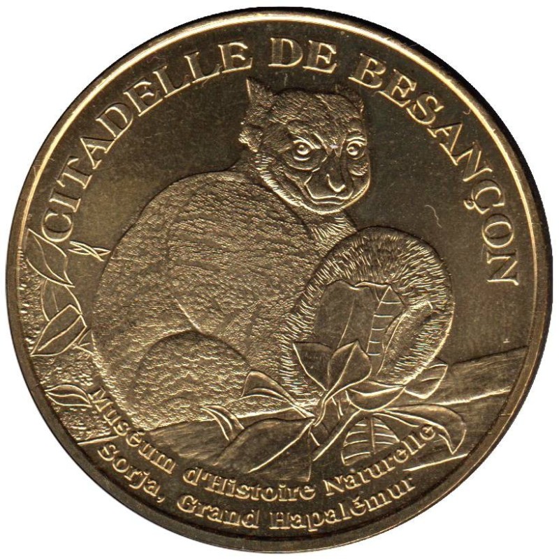 25-1192 - Muséum - Sorja Grand Hapalémur - 2011