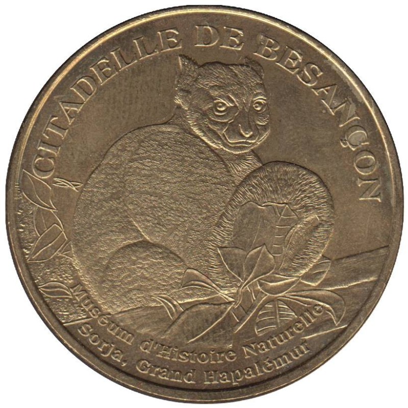 25-1192 - Muséum - Sorja Grand Hapalémur - 2011