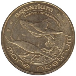 34-0885 - Le poisson-scie et la raie-guitare - 2009