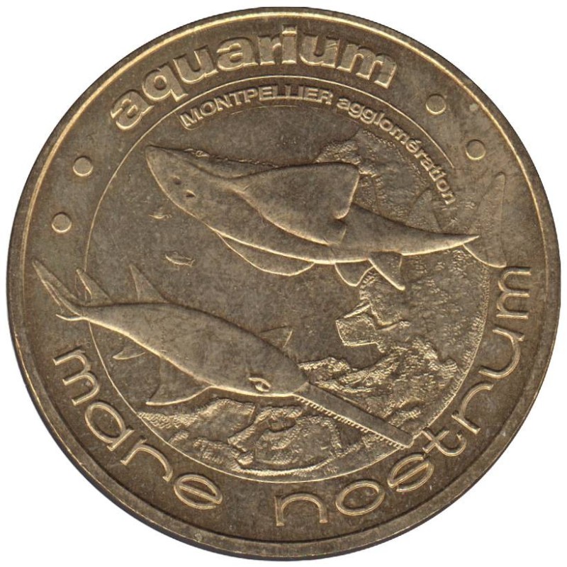 34-0885 - Le poisson-scie et la raie-guitare - 2009