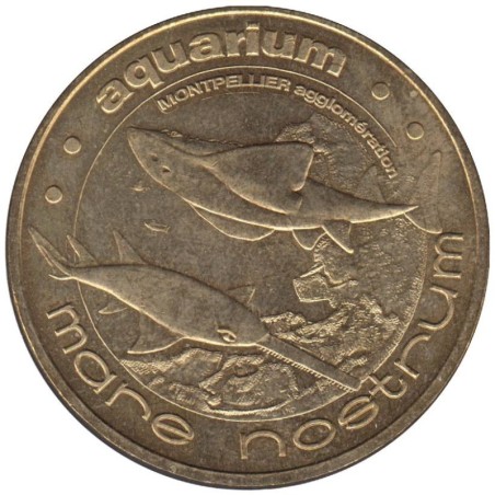 34-0885 - Le poisson-scie et la raie-guitare - 2009 34-0885 - Le poisson-scie et la raie-guitare - 2009