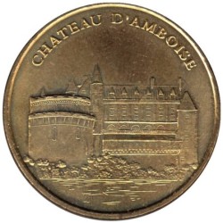 37-0116 - Château d'Amboise - Vue d'ensemble - 2007