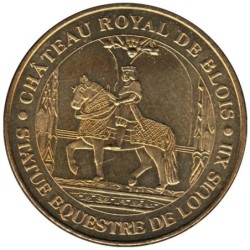 41-0129 - Château royal de Blois - 2010