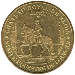 41-0129 - Château royal de Blois - 2015