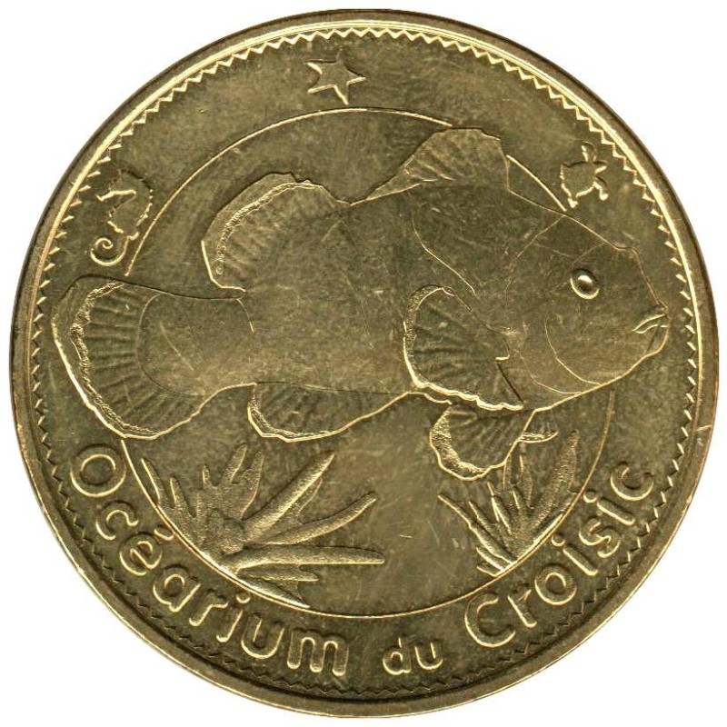 44-1983 - Océarium du Croisic - Poisson clown - 2015