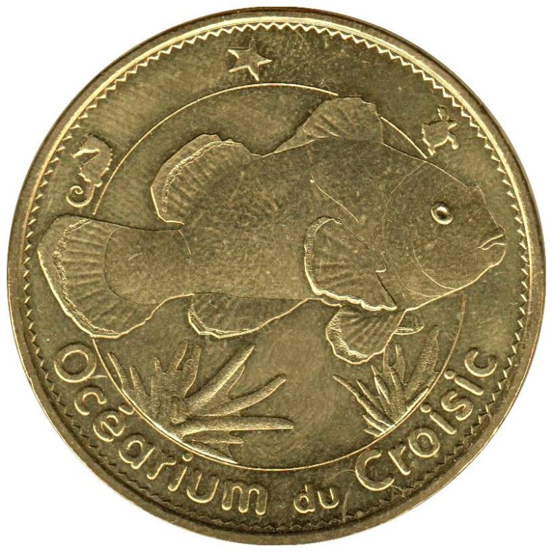 44-1983 - Océarium du Croisic - Poisson clown - 2015
