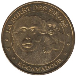 46-1076 - Forêt des Singes - La mère et son petit - 2010