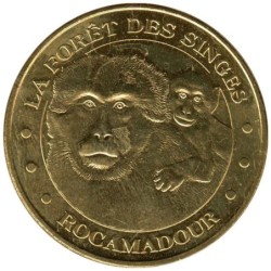 46-1076 - Forêt des Singes - La mère et son petit - 2015
