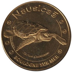 62-1628 - Nausicaa - Tortue Caouanne - 2013