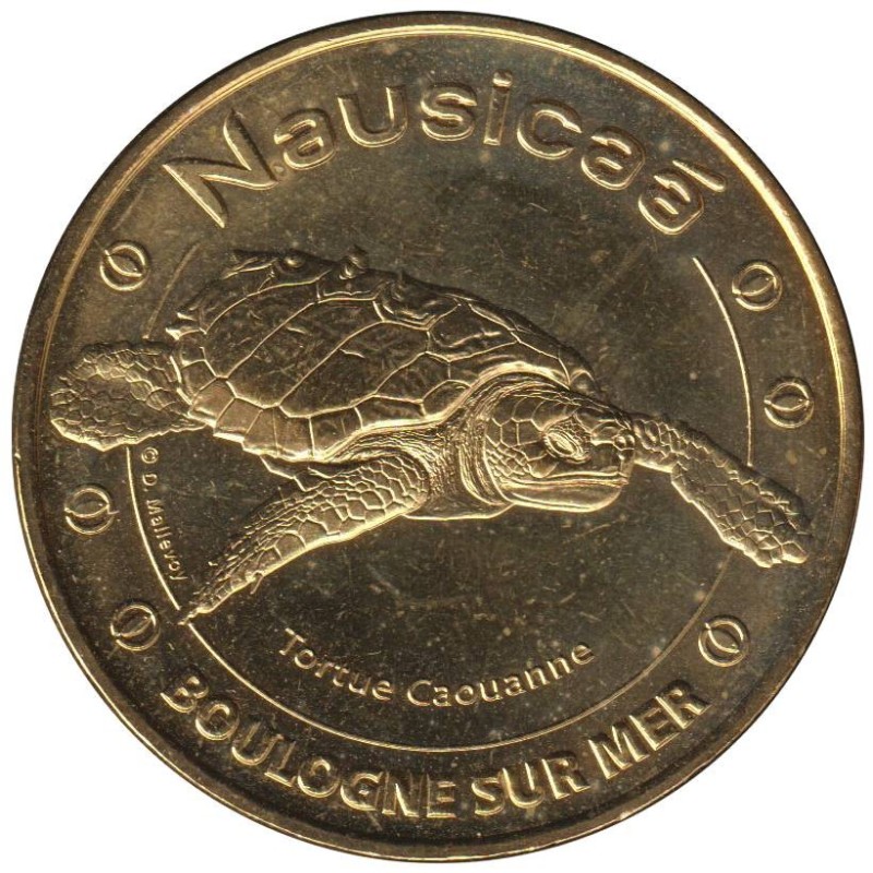 62-1628 - Nausicaa - Tortue Caouanne - 2015