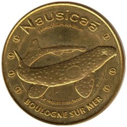 62-1829 - Nausicaa - Le requin marcheur - 2014