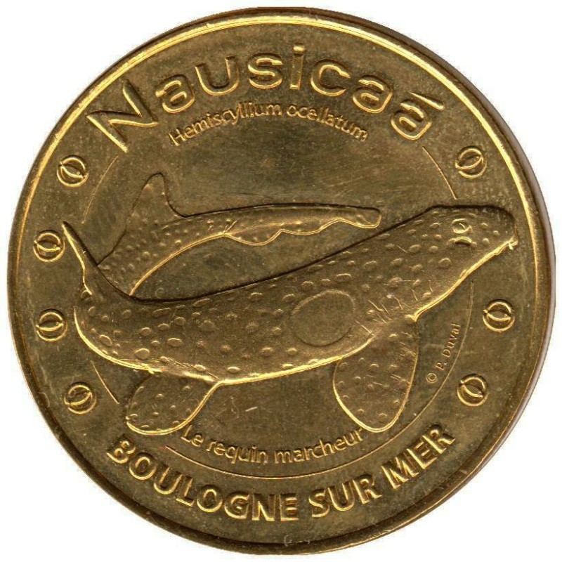 62-1829 - Nausicaa - Le requin marcheur - 2014