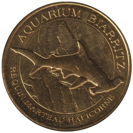 64-2221 - Biarritz - Requin marteau Halicorne - 2016 64-2221 - Biarritz - Requin marteau Halicorne - 2016